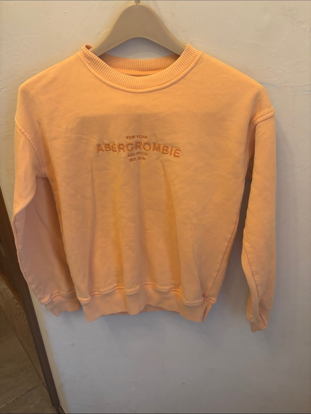 Abercrombie kids embroidered creamsicle Crewneck! 11/12